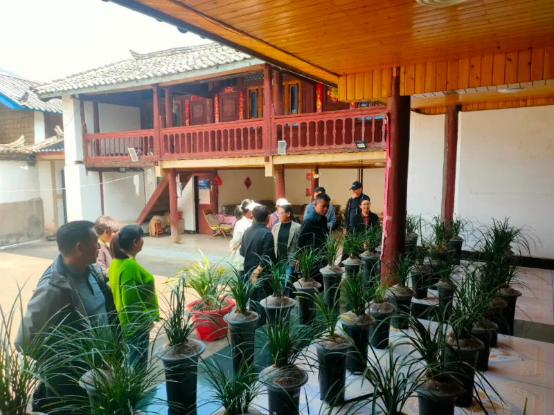 圖片