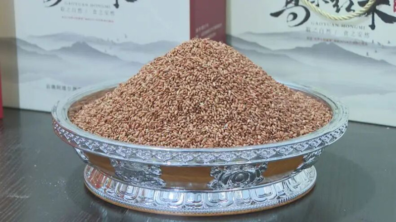 高原紅米