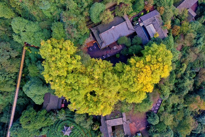 鸟瞰蒙顶山景区一隅