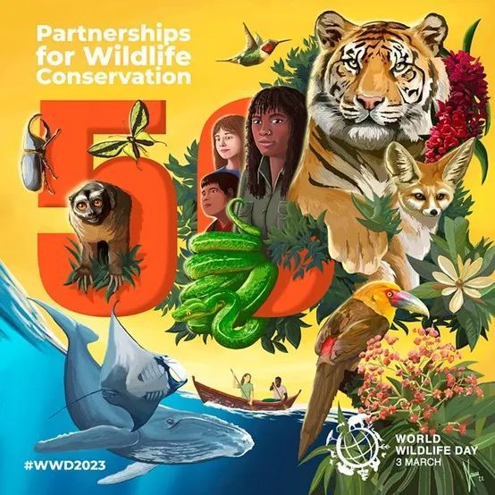 2023年世界野生动植物日主题海报——“野生动植物保护伙伴关系” _www.isenlin.cn