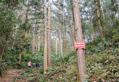 生态赎买,置换—来自福建的创新性做法【中国绿色时