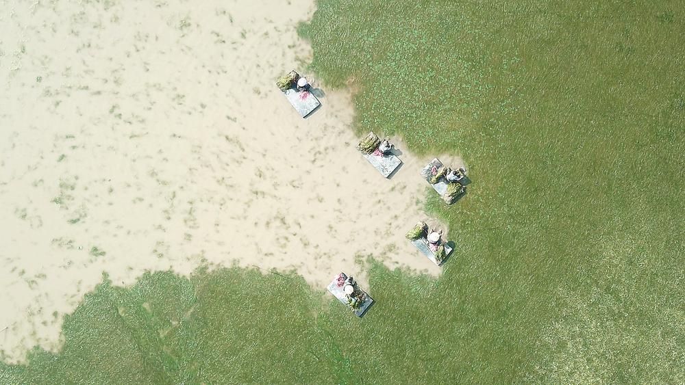 聚焦第54个世界地球日 一山一水皆画卷 _www.isenlin.cn