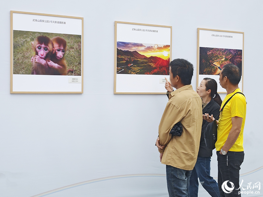 5月1日，游客参观武夷山国家公园1号风景道摄影展。人民网 黄东仪摄