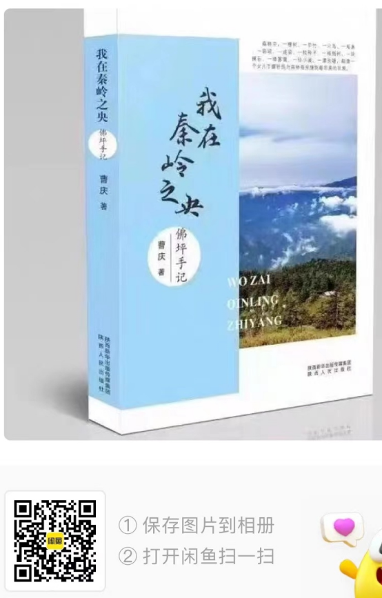 佛坪手機-1