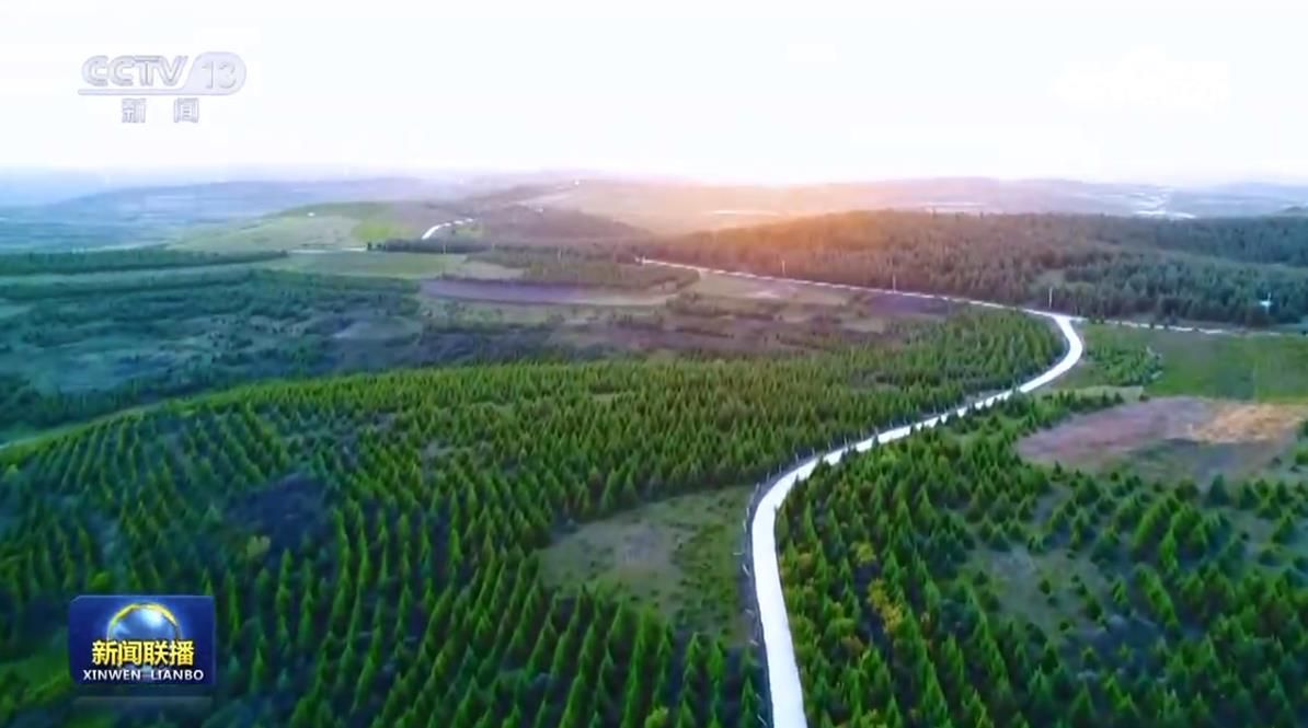 植树造林 建设美丽中国 关注森林 