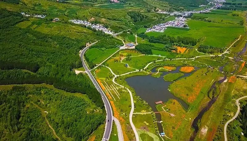 科学推进“山水工程”生态保护修复 - 关注森林