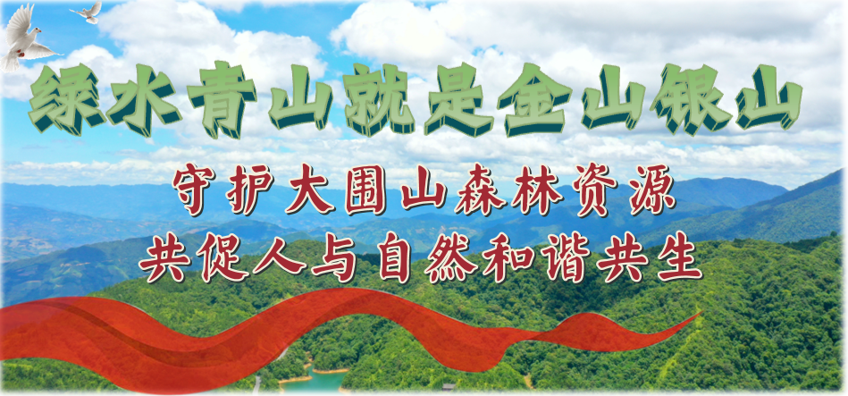 全面推进美丽中国建设 加快推进人与自然和谐共生的现代化 - 关注森林