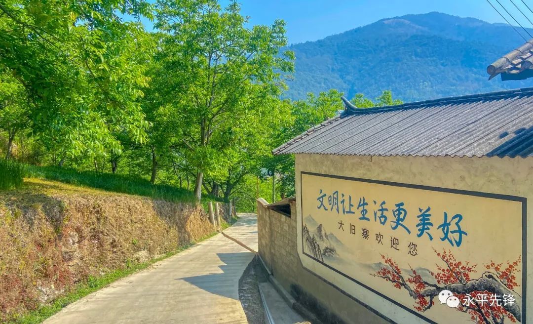【图说】生态绿 | 绿树村边 青山郭外 - 关注森林