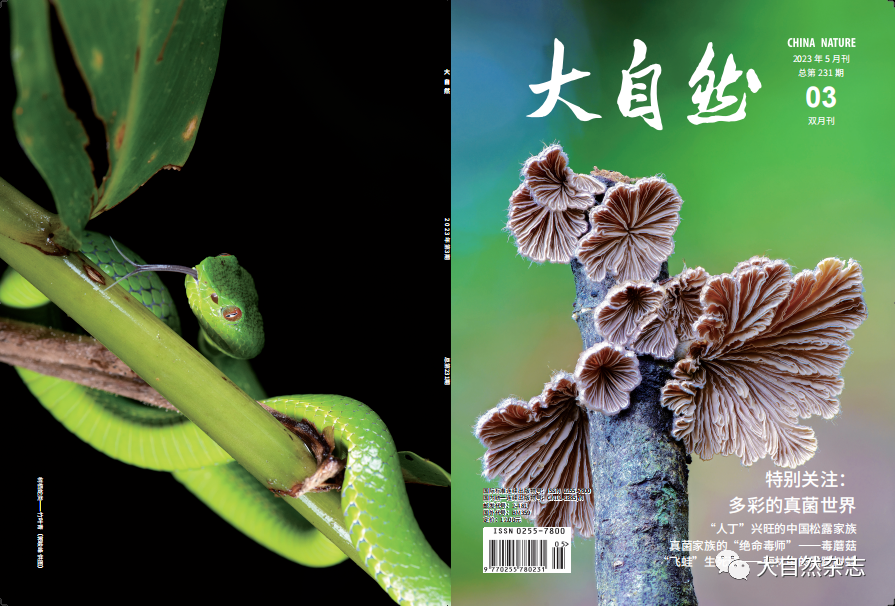 植物考察纪行 _www.isenlin.cn