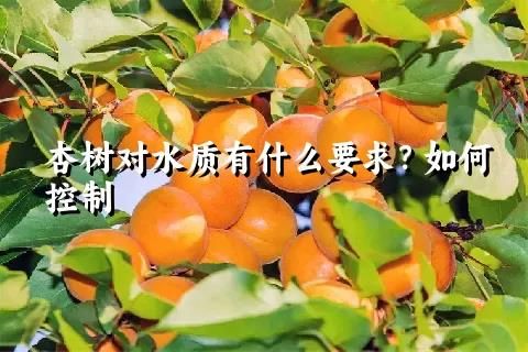 杏树对水质有什么要求？如何控制