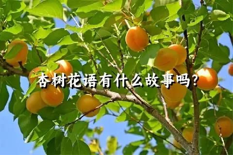 杏树花语有什么故事吗？