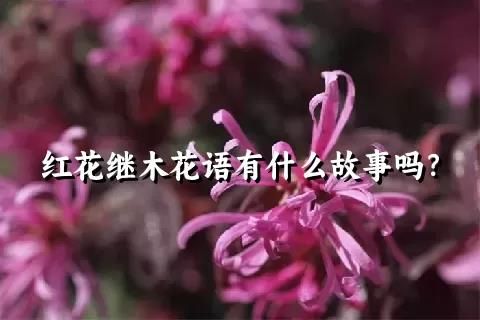 红花继木花语有什么故事吗？