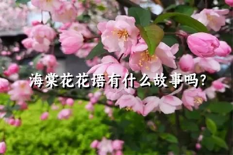海棠花花语有什么故事吗？