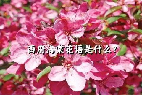 西府海棠花语是什么？