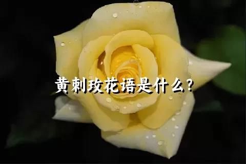 黄刺玫花语是什么？