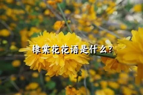 棣棠花花语是什么？