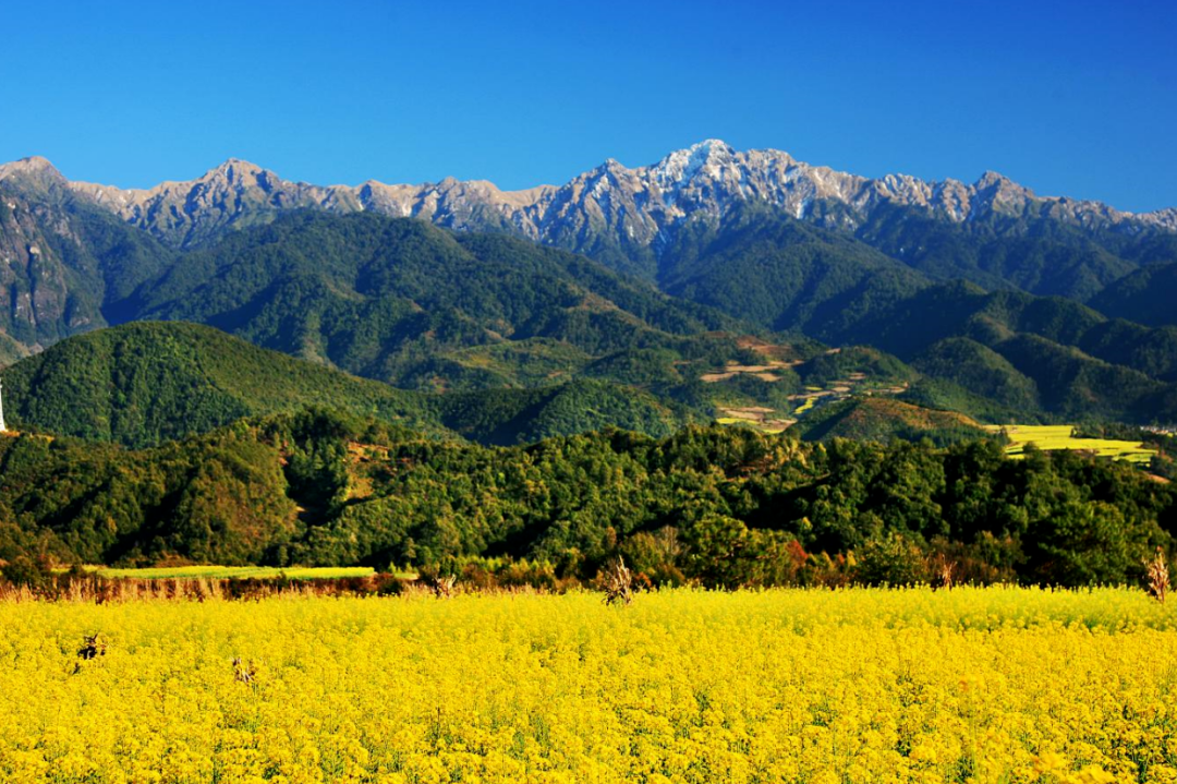 遠(yuǎn)眺高黎貢山 艾懷森 攝