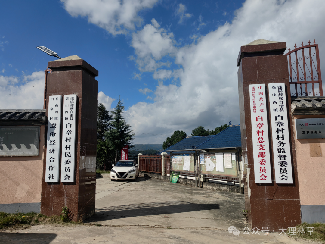 大理州林草局到白章村调研定点帮扶工作 - 关注森林