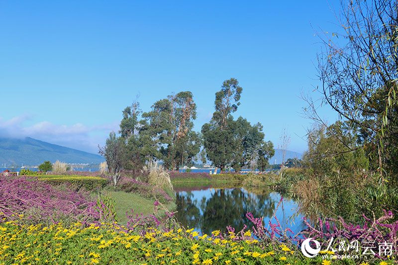 星海半島濕地公園中層次分明的自然景觀發(fā)揮著對(duì)污染負(fù)荷的削減作用。人民網(wǎng) 雷霽 攝