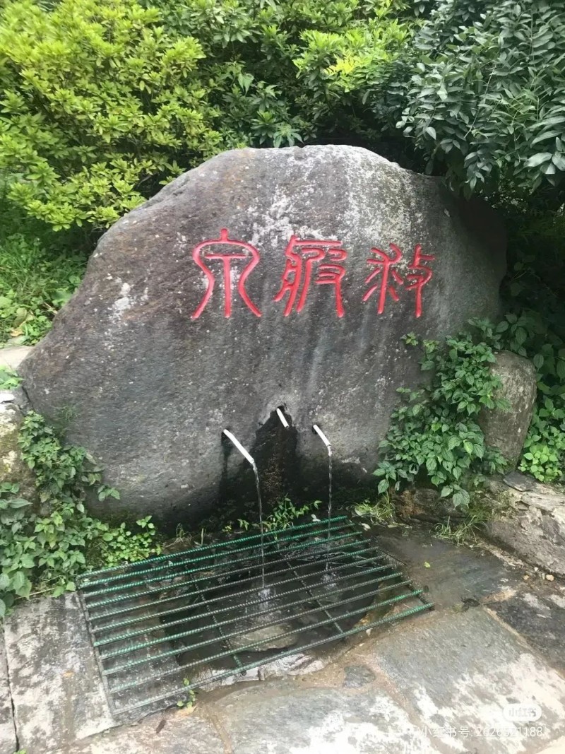 微信圖片_20250424161901.jpg