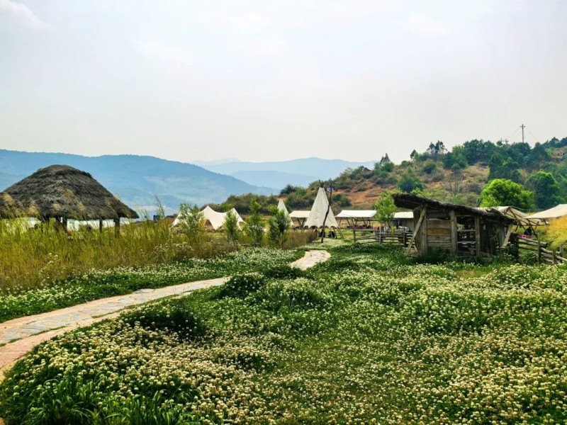 （圖片投稿）鄉(xiāng)村旅游產(chǎn)業(yè)興3.jpg