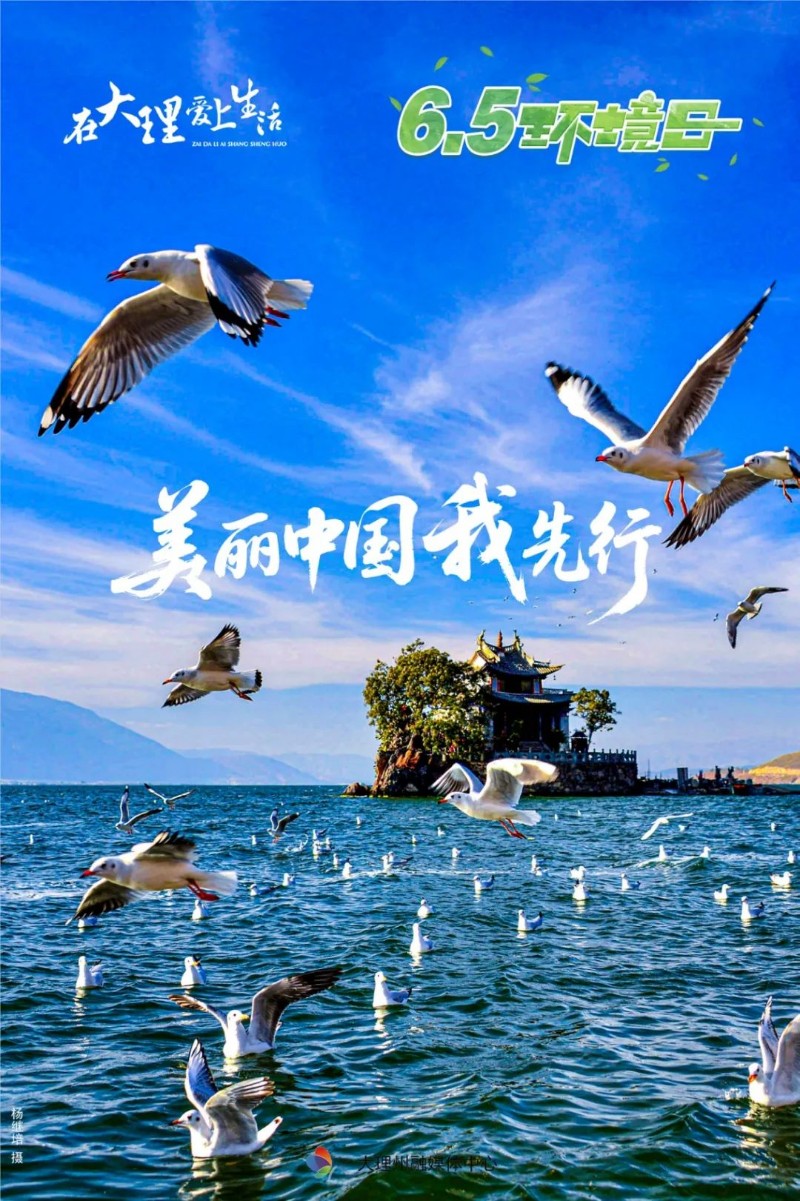 屏幕截圖 2025-06-05 165948.jpg