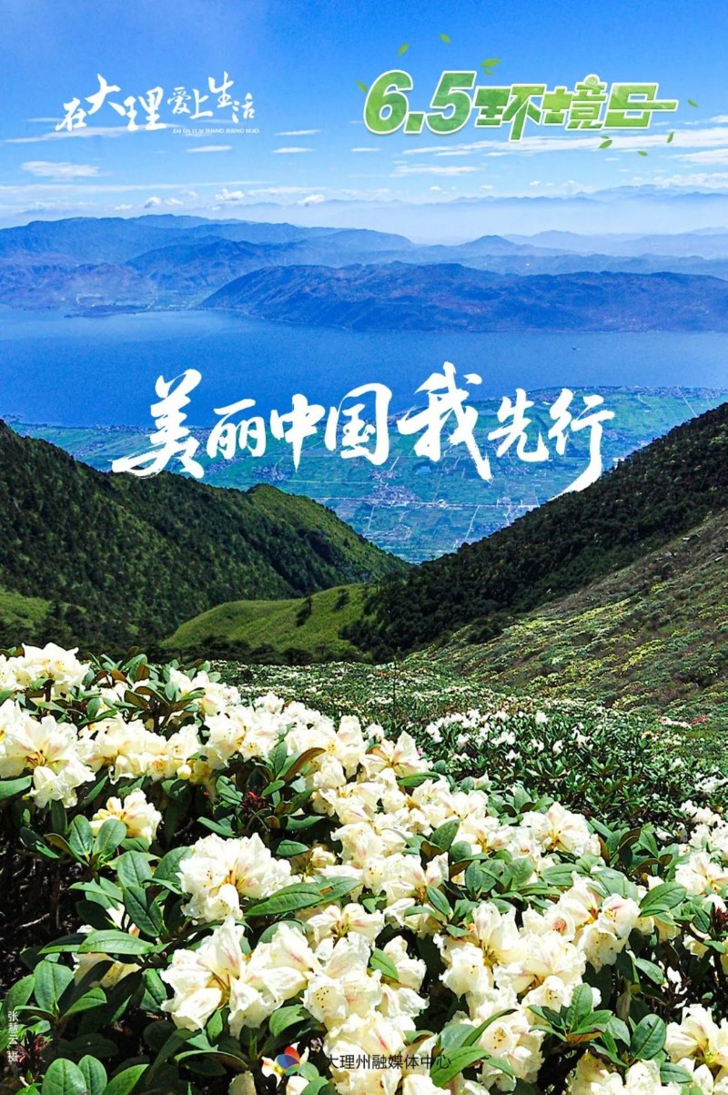 屏幕截圖 2025-06-05 165927.jpg