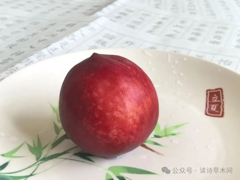 圖片