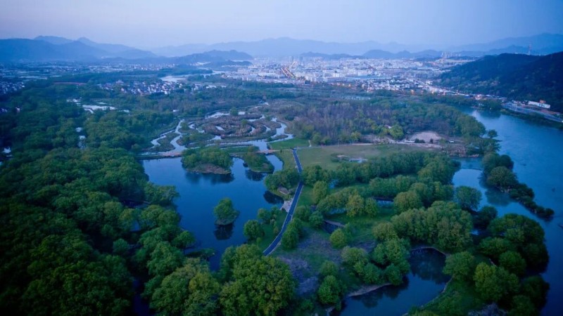 3.《九龍濕地》姜曉東攝13967076860壓縮.jpg