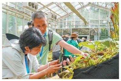 游客在“扶荔宮”溫室群拍照。