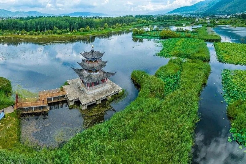 圖片