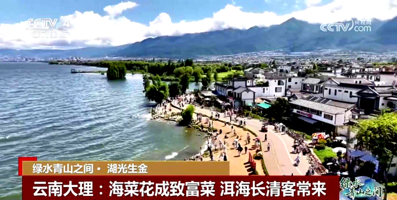 綠水青山之間·湖光生金[00-01-28][20250813-164945203].jpg
