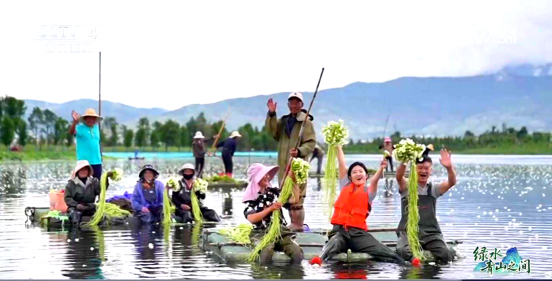 綠水青山之間·湖光生金[00-03-17][20250813-170509378].jpg