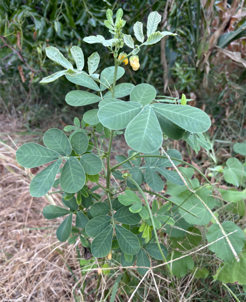微信圖片_2025-08-01_204821_444(1)(1).png