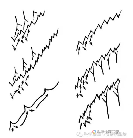 1674436091(1)
