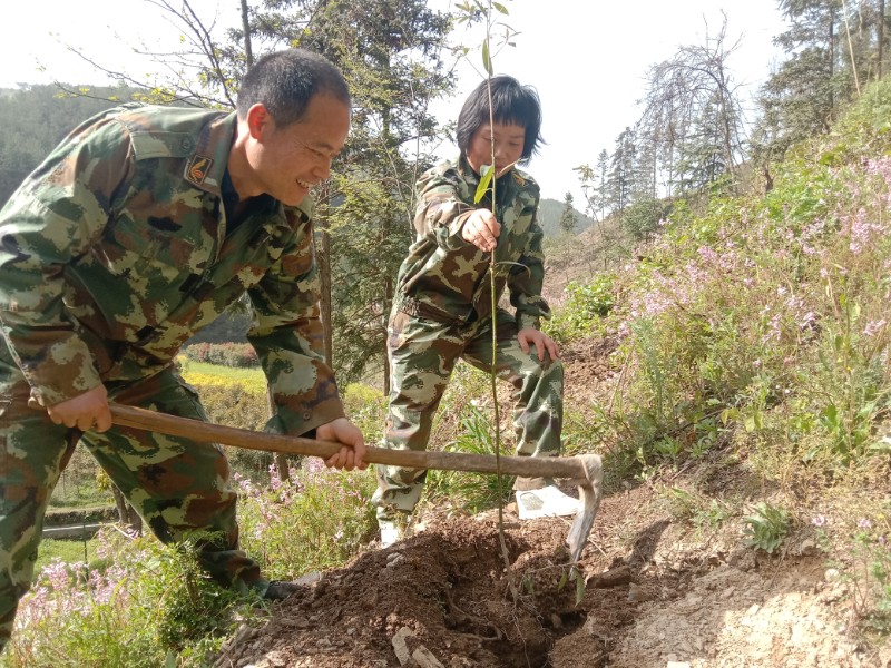 夫妻二人在山坡上栽植樹苗