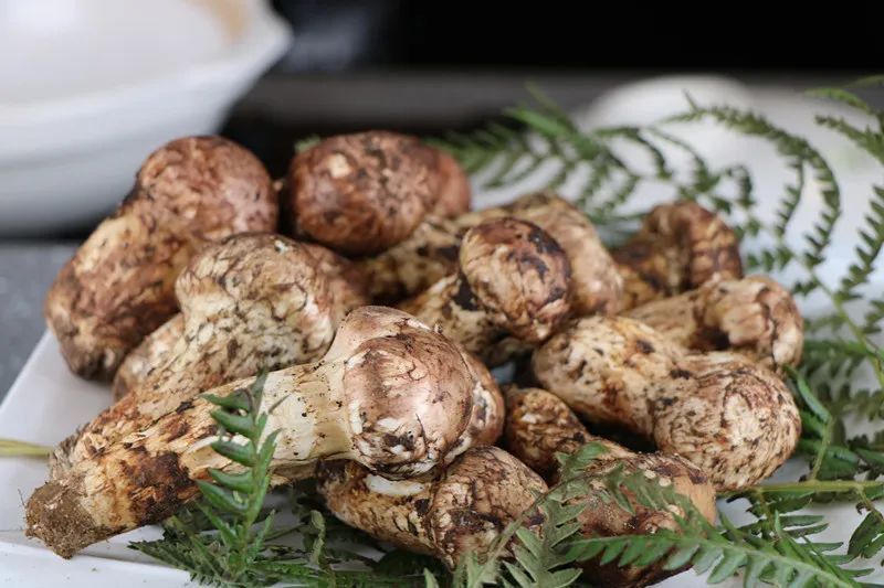 楚雄州委宣傳部 供圖