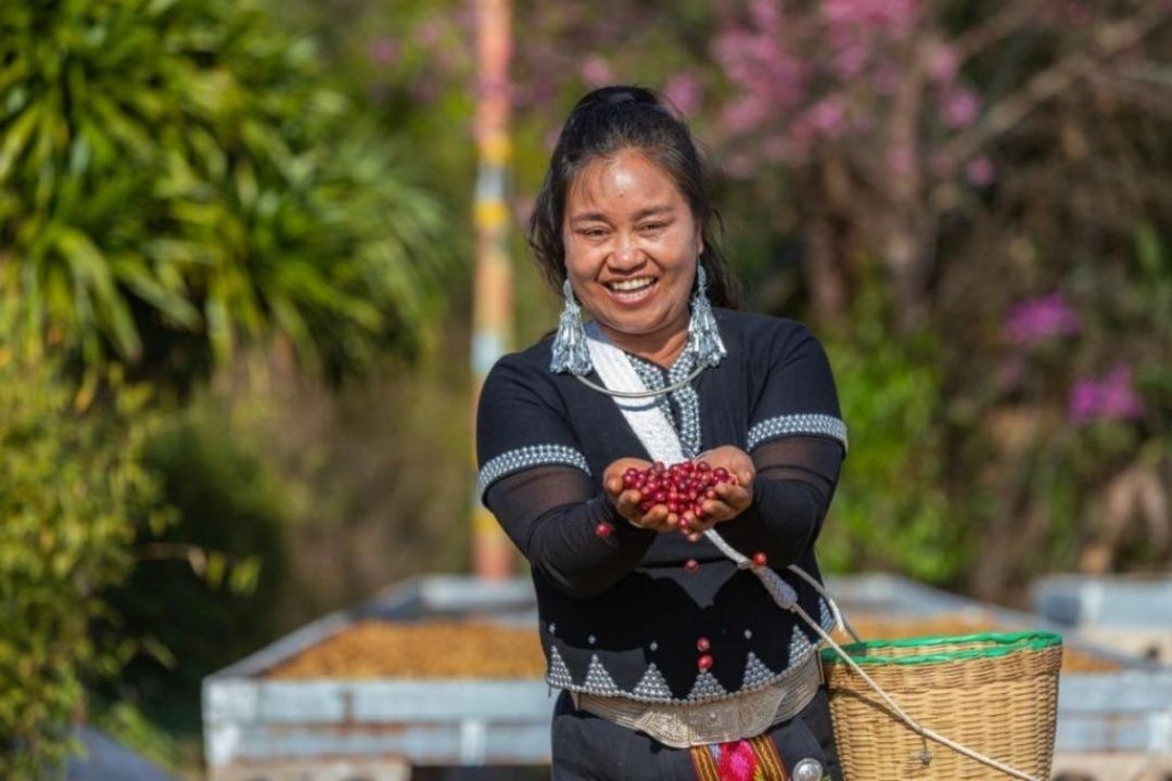 咖農(nóng)豐收的喜悅。虎遵會(huì) 攝