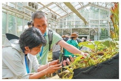 游客在“扶荔宮”溫室群拍照。