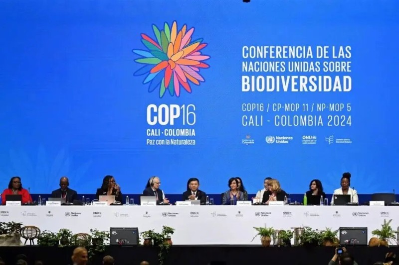 《生物多樣性公約》第十六次締約方大會。圖源：“生態(tài)環(huán)境部”微信公眾號