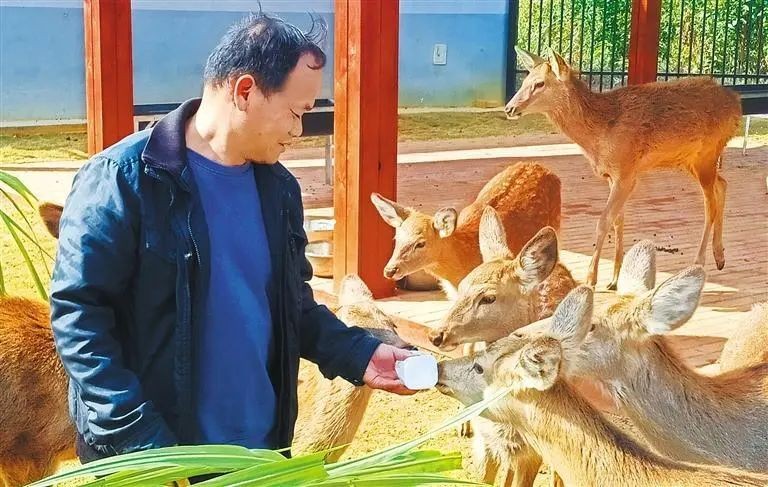圖片