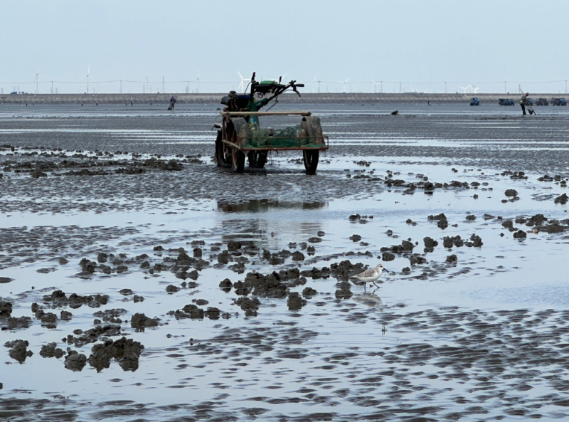 屏幕截圖 2025-10-16 115609.png