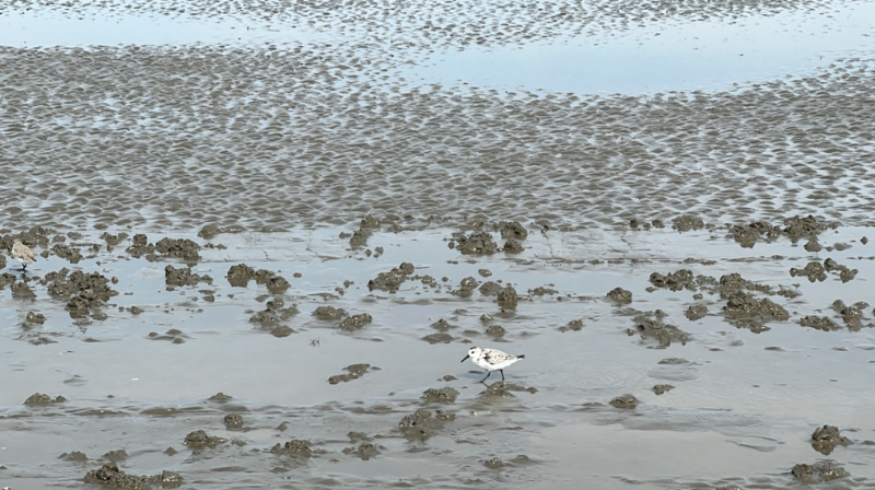 屏幕截圖 2025-10-16 115742.png