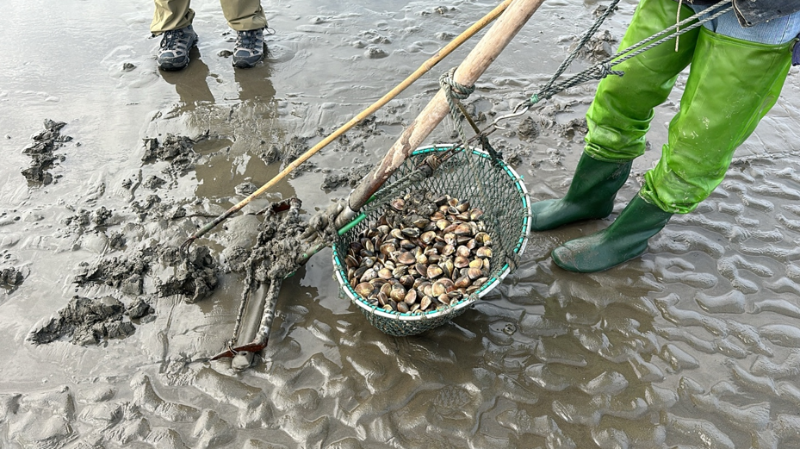 屏幕截圖 2025-10-16 120007.png