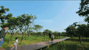世界湿地日中国主场].gif