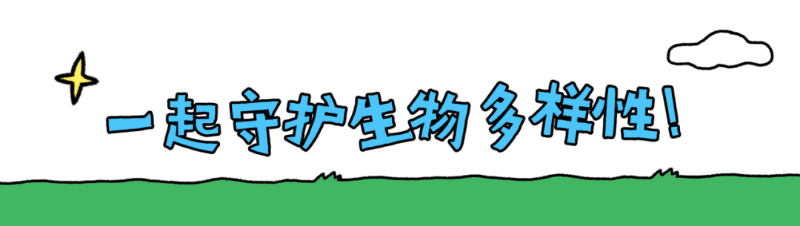 9fdbe9aca01fcbc52a4f0bf0ab5ca337.png