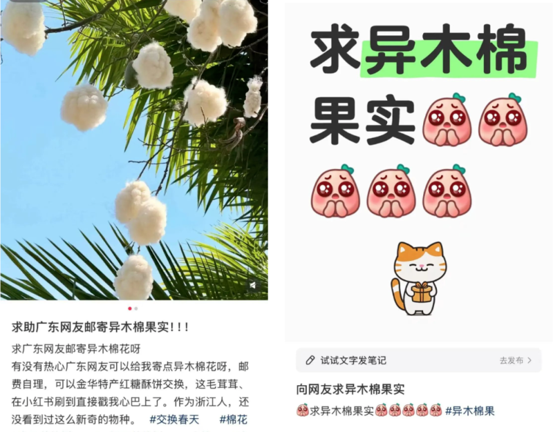 a19cc31002d36f975e20d08ce62da7b4.png
