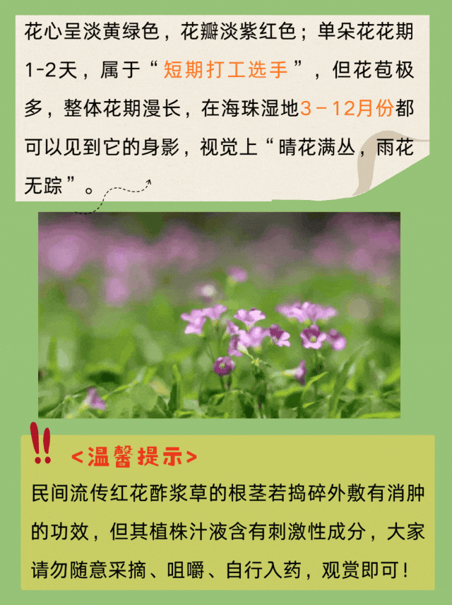 4.gif