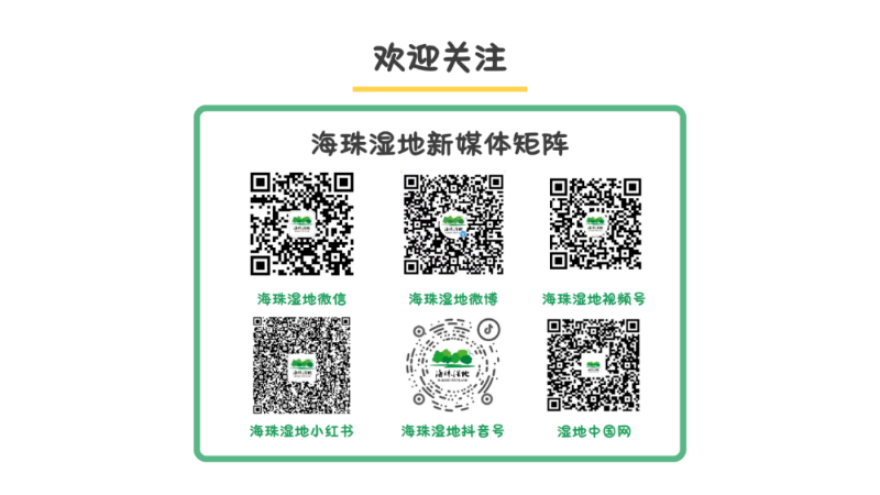 推文end图（无头版）.png