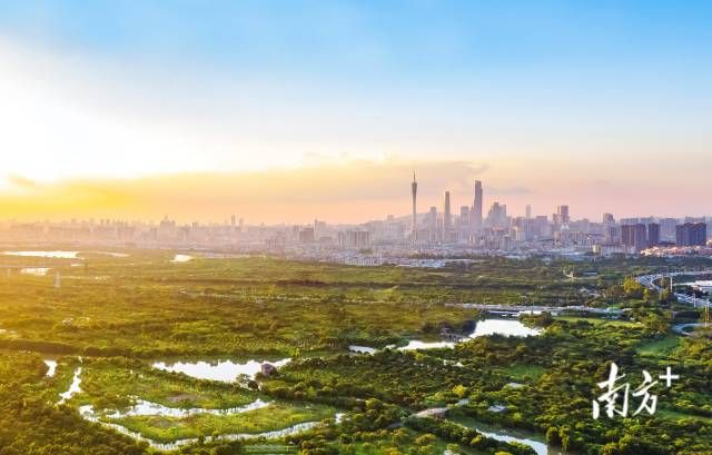 广州海珠国家湿地公园不仅成为多样生物的美好栖息地，更是显著改善了超大城市的人居环境。
